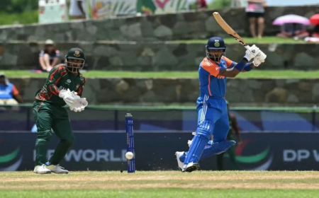 T20 WC 2024 : हार्दिक का आतिशी अर्धशतक, भारत का मजबूत स्कोर