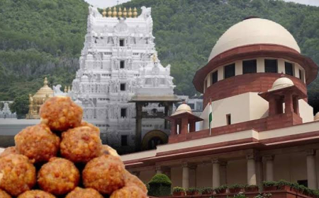 तिरुपति मंदिर प्रसादम मामला: सुप्रीम कोर्ट में आज सुनवाई