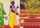 घर में नहीं है बेटी, तो देवउठनी एकादशी के दिन जरूर कराएं तुलसी-शालिग्राम का विवाह
