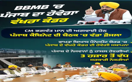 BBMB में 3000+ Government Jobs का रास्ता साफ, Punjab Government ने बनाया अलग कैडर