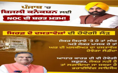 Mann सरकार का बड़ा फैसला: Punjab में Electricity Connections अब बिना NOC के