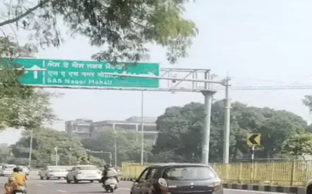 Punjab में शीत लहर का Yellow Alert: Faridkot Shimla से भी ज्यादा ठंडा, अगले तीन दिन और बढ़ेगी सर्दी