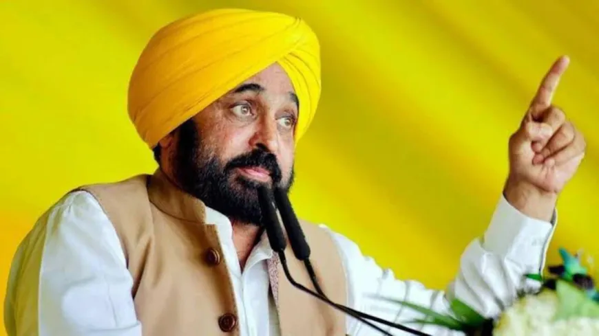 नशे के सौदागरों पर Mann का वार! Akali राज में ‘Chitta’ नहीं, ‘Majithia’ कहा जाता था!