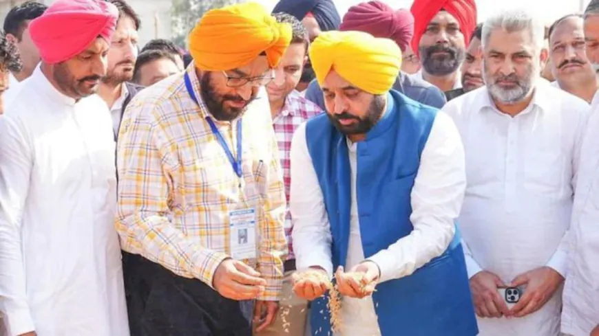 Mann सरकार का कमाल: 150 Lakh MT से ज़्यादा धान खरीद, 11 Lakh किसानों को तेज़ भुगतान — Punjab ने बनाया Record