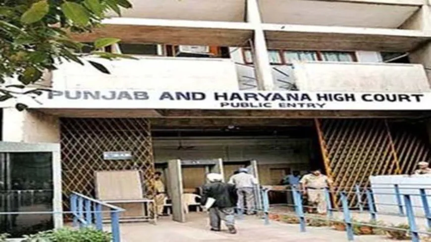 Haryana Pensioner के Account से Bank ने काटे 6.63 Lakh, High Court सख्त: बिना Written Consent Pension से कटौती नहीं होगी
