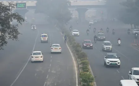 दिल्ली में बिना PUC के नहीं मिलेगा पेट्रोल-डीजल, BS6 से कम के वाहन पर भी प्रतिबंध
