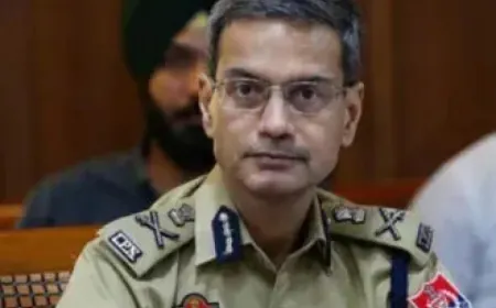पंजाब में गैंगस्टरों पर पुलिस की बड़ी कार्रवाई, 601 ठिकानों पर छापेमारी, 203 गिरफ्तार
