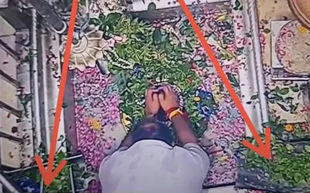 बाबा विश्वनाथ के दरबार में ‘दर्शन’ या खेल? वायरल वीडियो ने खोले कई सवाल, आस्था की आड़ में कौन कमा रहा ..?